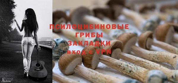 ешки Армянск