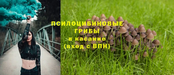 ешки Армянск